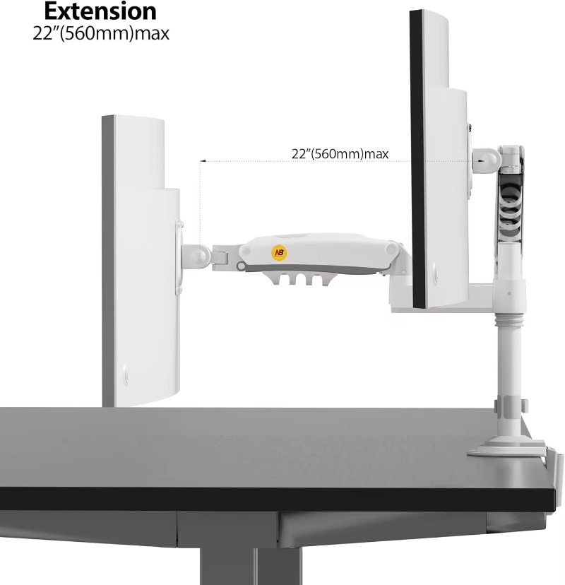 Dual Monitor Desk Mount Stand  - Monitor Stand のレビューと価格